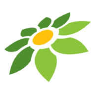 YANDEX LG